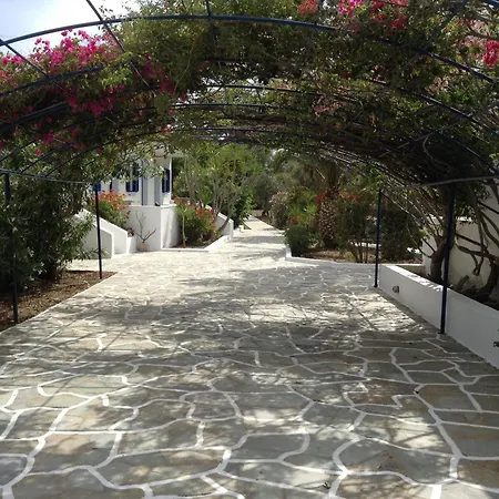 Oasis *